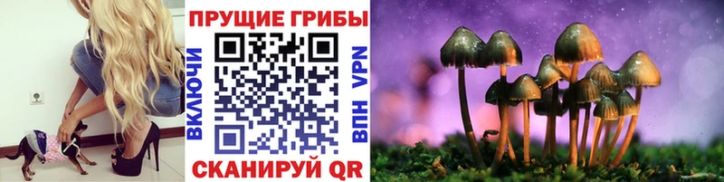 Купить  Лобня  Псилоцибиновые грибы прущие грибы 